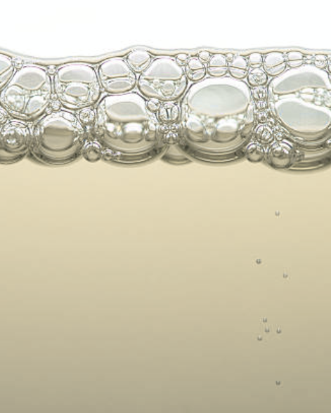 Lactobacillus Ferment